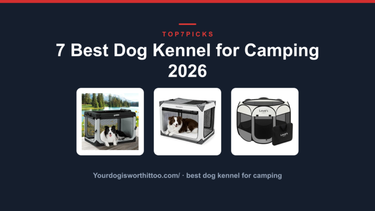 7 Best Dog Kennel for Camping 2026