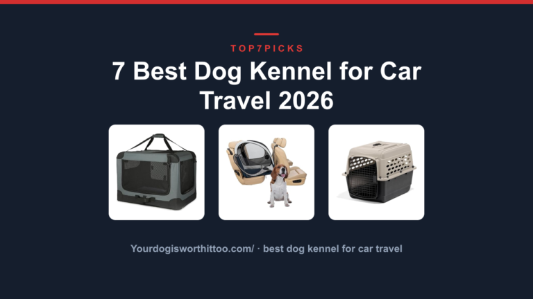 7 Best Dog Kennel for Car Travel 2026
