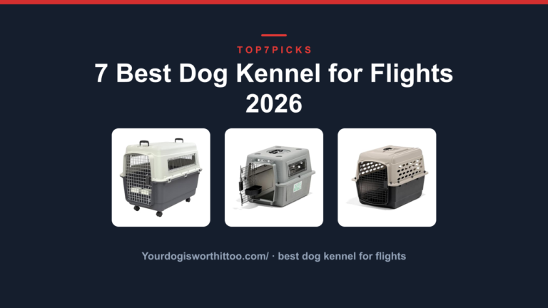 7 Best Dog Kennel for Flights 2026