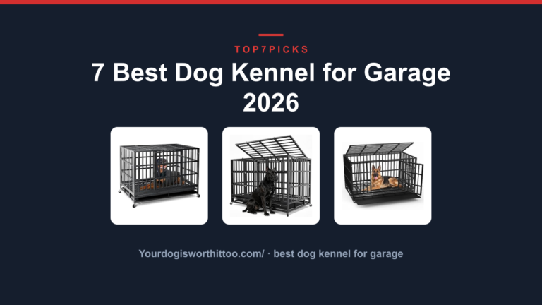 7 Best Dog Kennel for Garage 2026