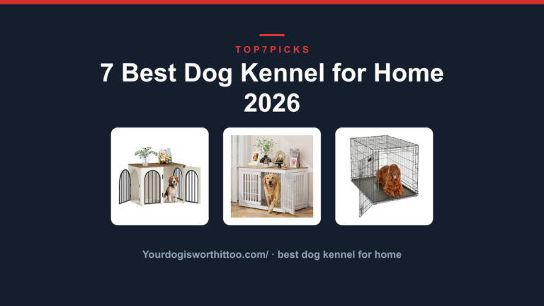 7 Best Dog Kennel for Home 2026