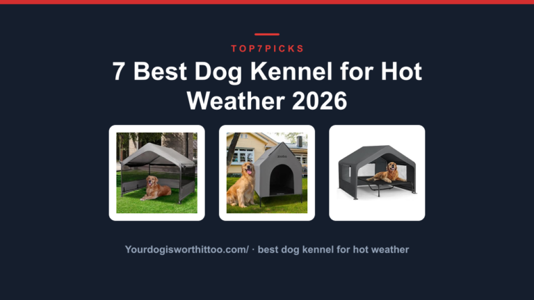 7 Best Dog Kennel for Hot Weather 2026