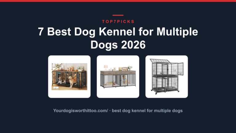 7 Best Dog Kennel for Multiple Dogs 2026