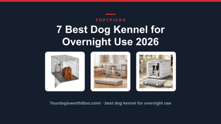 7 Best Dog Kennel for Overnight Use 2026