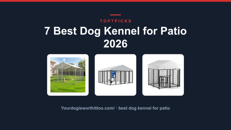 7 Best Dog Kennel for Patio 2026