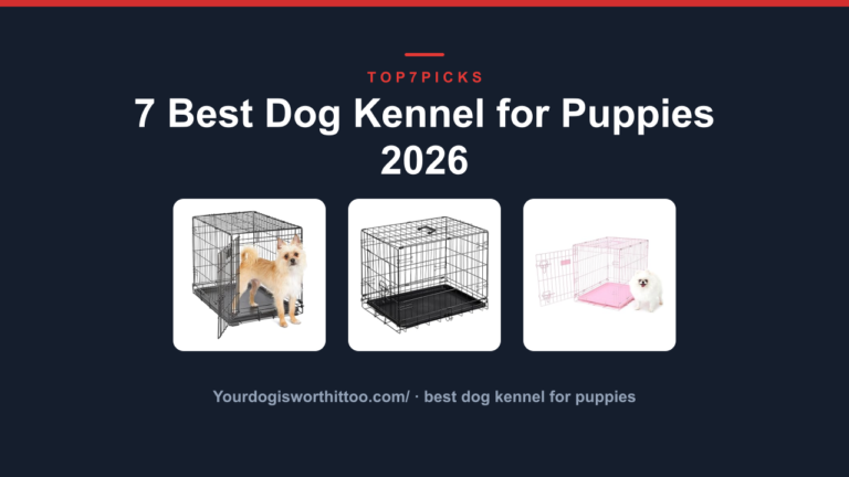 7 Best Dog Kennel for Puppies 2026