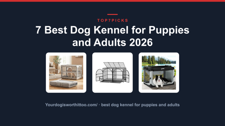 7 Best Dog Kennel for Puppies and Adults 2026