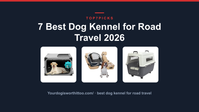 7 Best Dog Kennel for Road Travel 2026
