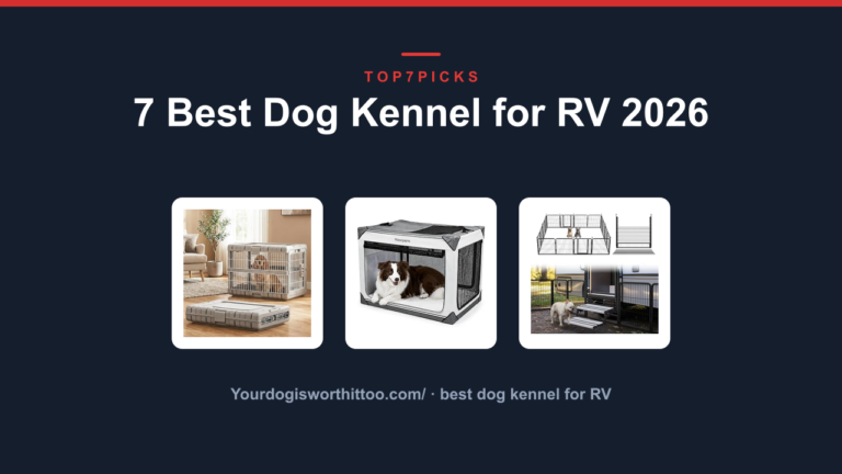 7 Best Dog Kennel for RV 2026
