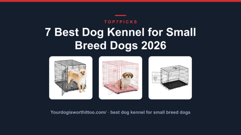 7 Best Dog Kennel for Small Breed Dogs 2026