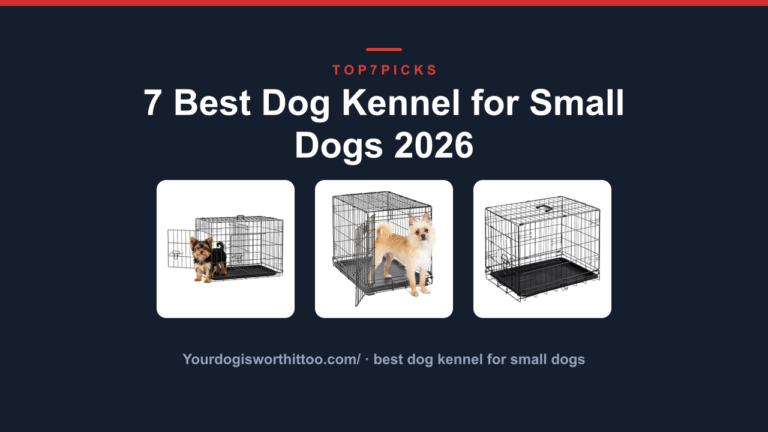 7 Best Dog Kennel for Small Dogs 2026