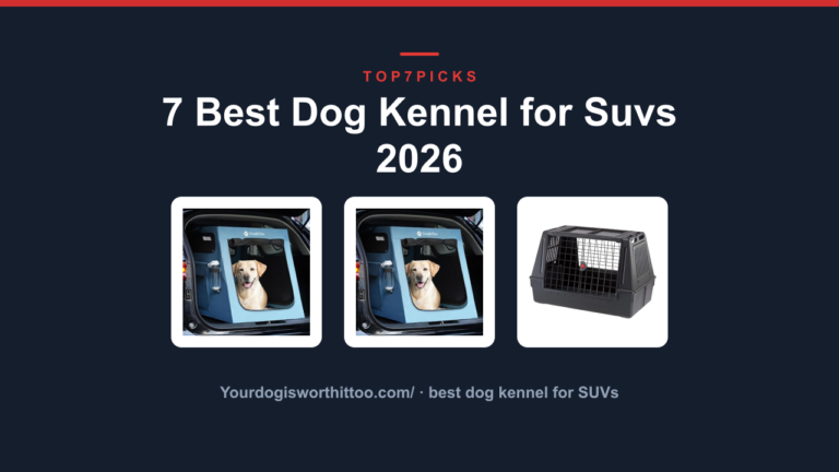 7 Best Dog Kennel for Suvs 2026
