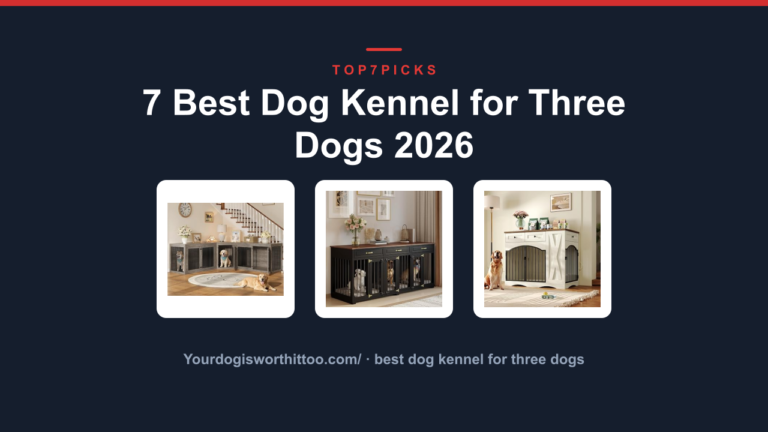 7 Best Dog Kennel for Three Dogs 2026
