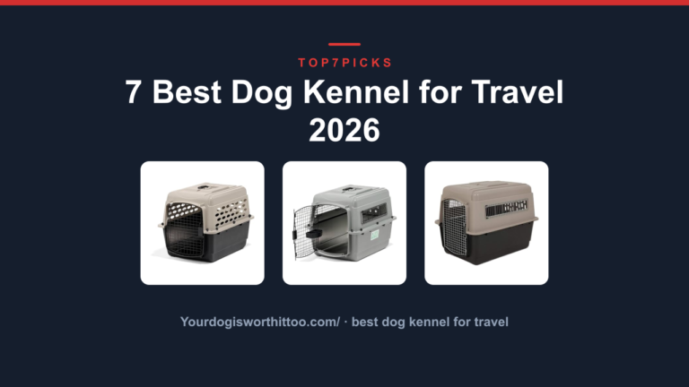 7 Best Dog Kennel for Travel 2026