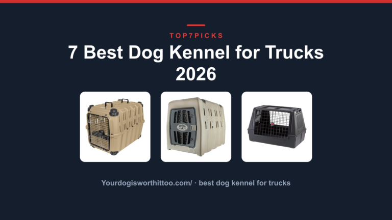 7 Best Dog Kennel for Trucks 2026