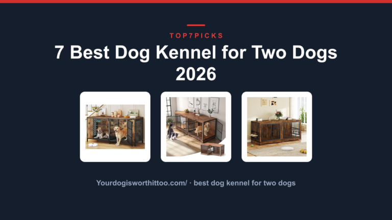 7 Best Dog Kennel for Two Dogs 2026