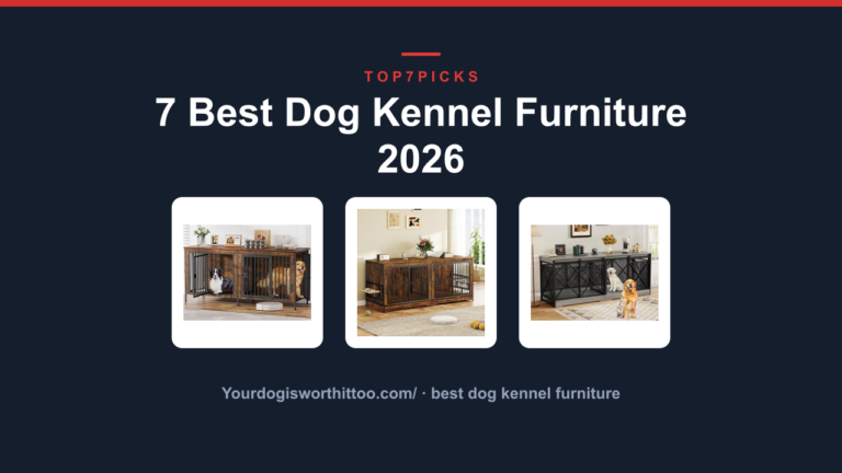7 Best Dog Kennel Furniture 2026