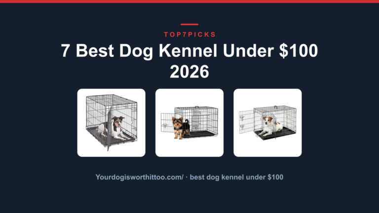 7 Best Dog Kennel Under $100 2026