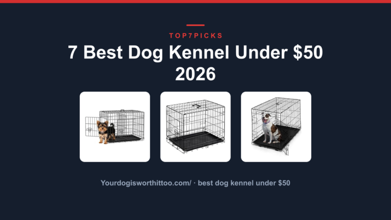 7 Best Dog Kennel Under $50 2026