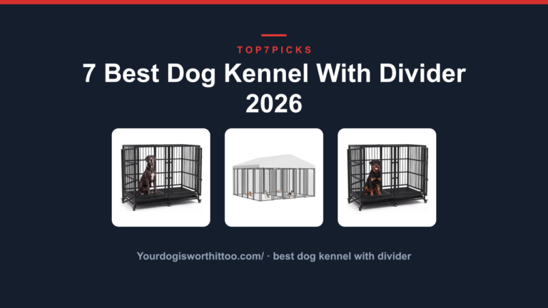 7 Best Dog Kennel With Divider 2026