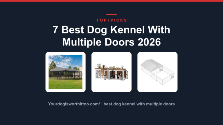 7 Best Dog Kennel With Multiple Doors 2026
