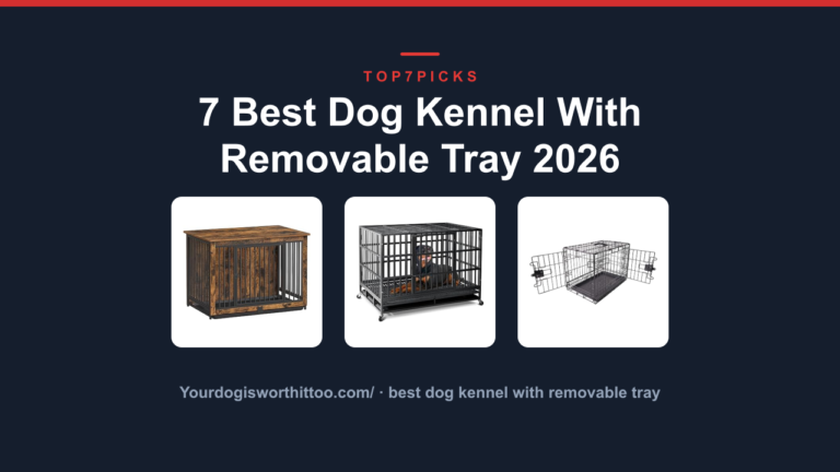 7 Best Dog Kennel With Removable Tray 2026
