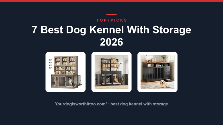 7 Best Dog Kennel With Storage 2026