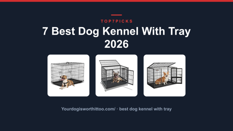 7 Best Dog Kennel With Tray 2026