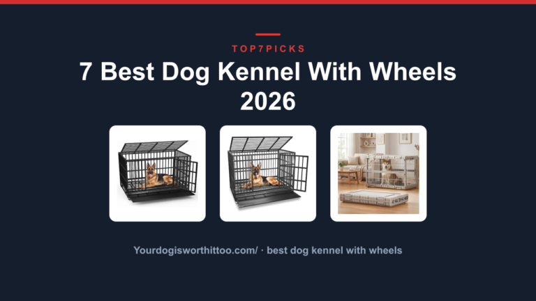 7 Best Dog Kennel With Wheels 2026