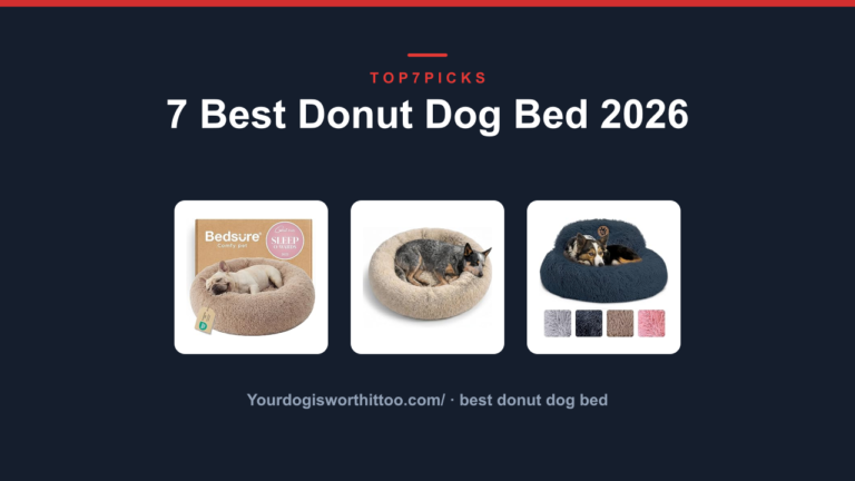 7 Best Donut Dog Bed 2026