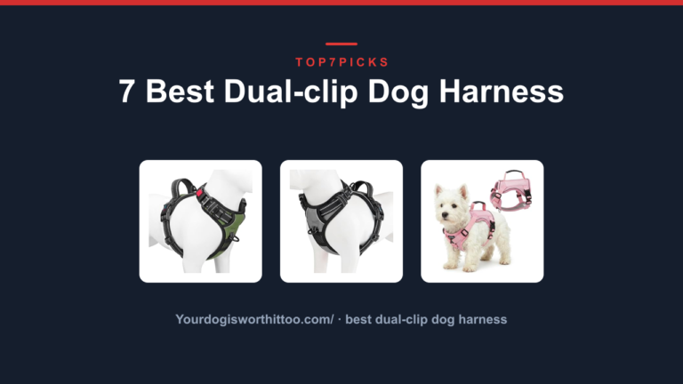7 Best Dual-clip Dog Harness
