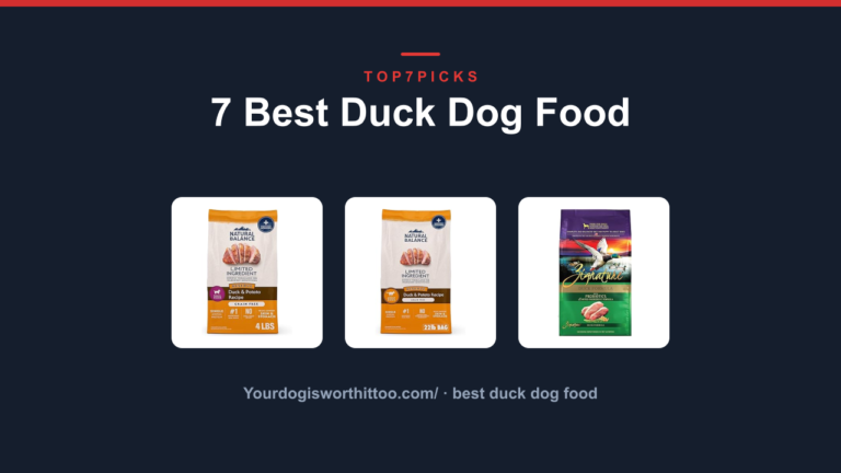 7 Best Duck Dog Food