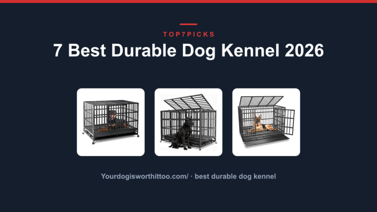 7 Best Durable Dog Kennel 2026