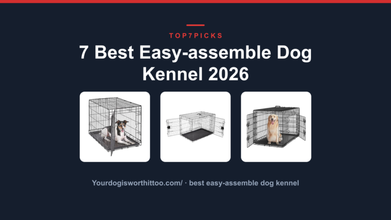7 Best Easy-assemble Dog Kennel 2026