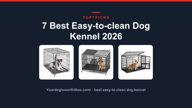 7 Best Easy-to-clean Dog Kennel 2026