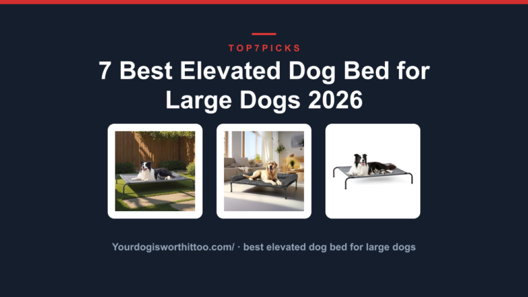 7 Best Elevated Dog Bed for Large Dogs 2026