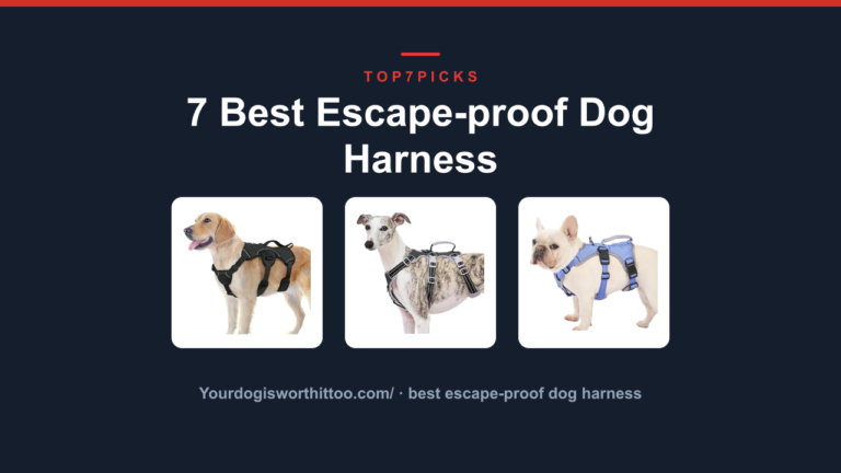 7 Best Escape-proof Dog Harness