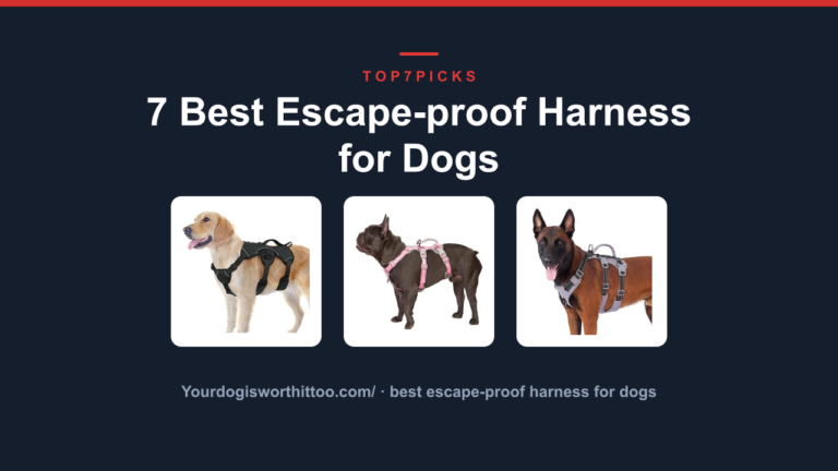 7 Best Escape-proof Harness for Dogs