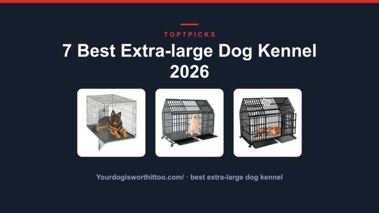 7 Best Extra-large Dog Kennel 2026