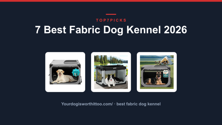 7 Best Fabric Dog Kennel 2026
