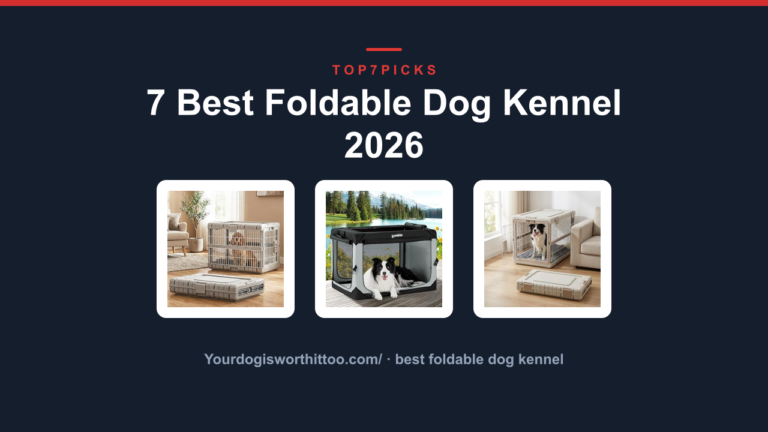 7 Best Foldable Dog Kennel 2026