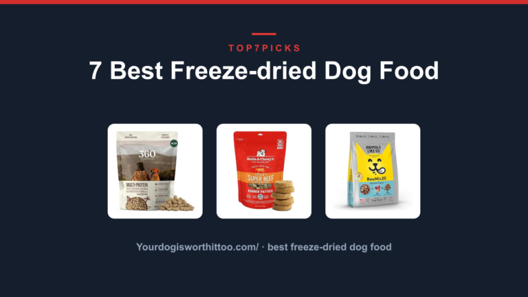7 Best Freeze-dried Dog Food