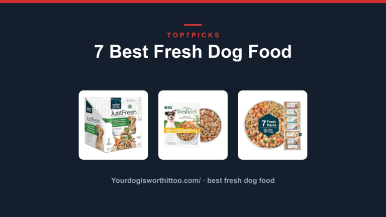 7 Best Fresh Dog Food