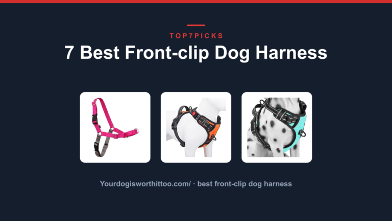 7 Best Front-clip Dog Harness