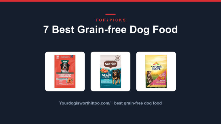 7 Best Grain-free Dog Food