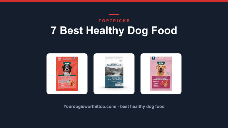 7 Best Healthy Dog Food