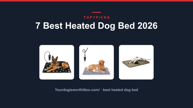 7 Best Heated Dog Bed 2026