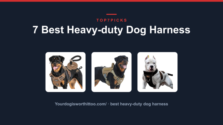 7 Best Heavy-duty Dog Harness
