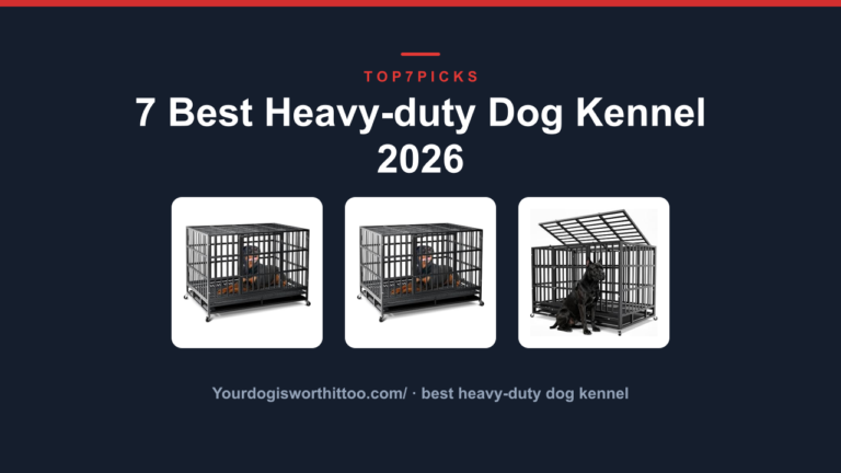 7 Best Heavy-duty Dog Kennel 2026