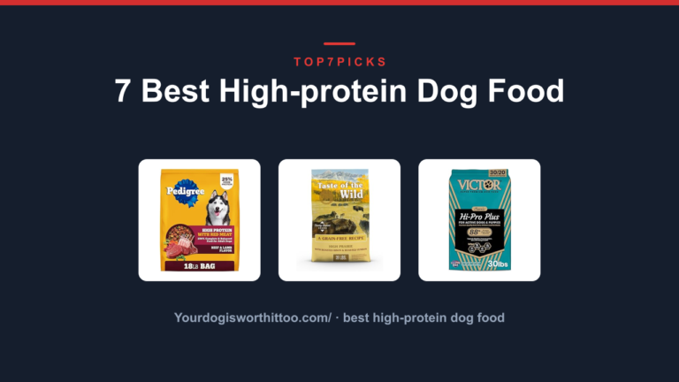 7 Best High-protein Dog Food